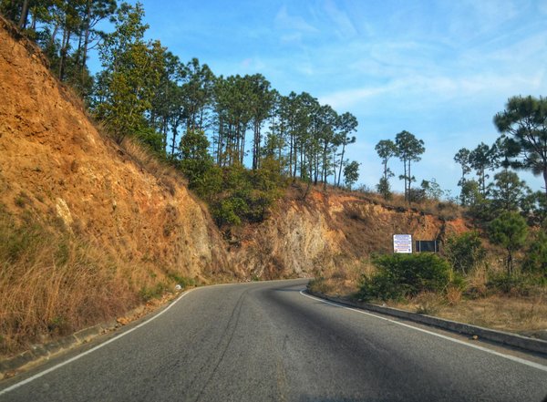 Location voiture 7 places : le confort pour vos aventures familiales